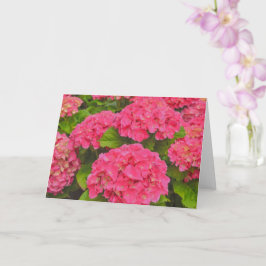 Prachtige roze Hydrangea Tuin Bloem Kunst Kaart