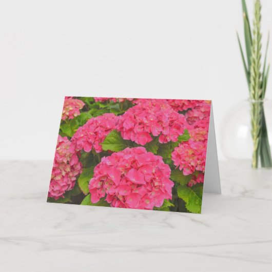 Prachtige roze Hydrangea Tuin Bloem Kunst Kaart (Voorkant)
