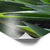 prachtige roze lentesroze tulpbloemen foto afdruk (Hoek)