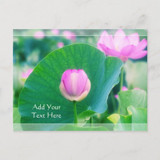Prachtige roze Lotus Bud Flower Green Leaf Blossom Briefkaart (Voorkant)