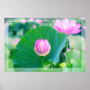 Prachtige roze Lotus Bud Flower Green Leaf Blossom Poster
