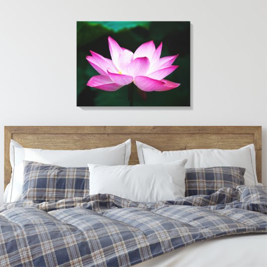 Prachtige roze Lotus Flower Bloom Canvas Afdruk (Insitu (Slaapkamer))