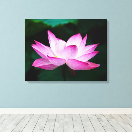 Prachtige roze Lotus Flower Bloom Canvas Afdruk (Insitu (Houten vloer))