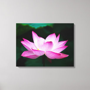 Prachtige roze Lotus Flower Bloom Canvas Afdruk