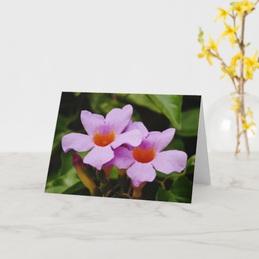 Prachtige roze Mandevilla Flowers Note Card Kaart (Gele Bloem)