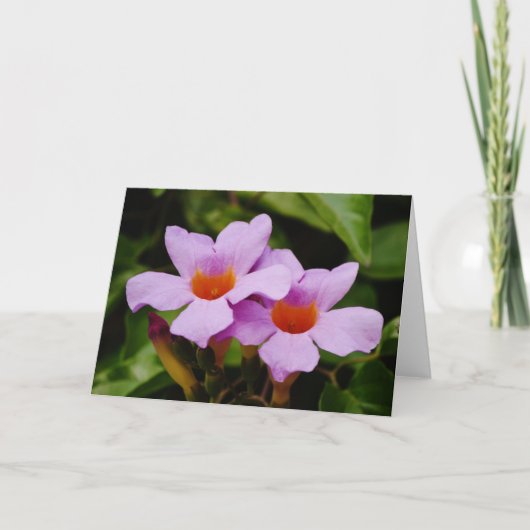 Prachtige roze Mandevilla Flowers Note Card Kaart (Voorkant)
