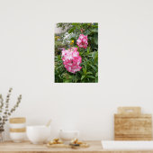 Prachtige roze Pensetmon-Poster voor de ventilator Poster (Keuken)