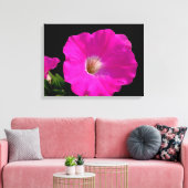 Prachtige, roze petunia-bloem in zwart canvas afdruk (Insitu (Woonkamer))