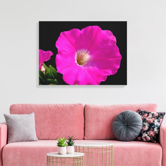 Prachtige, roze petunia-bloem in zwart canvas afdruk (Insitu (Woonkamer))
