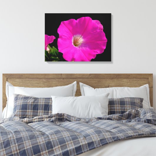 Prachtige, roze petunia-bloem in zwart canvas afdruk (Insitu (Slaapkamer))