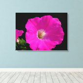 Prachtige, roze petunia-bloem in zwart canvas afdruk (Insitu (Houten vloer))