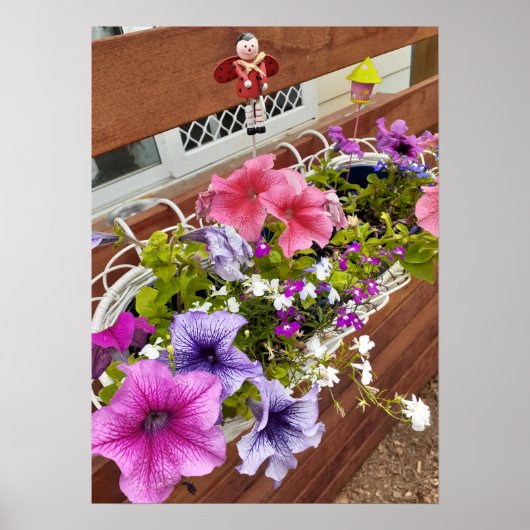 Prachtige roze Petunia Fairy Flower Garden Poster (Voorkant)