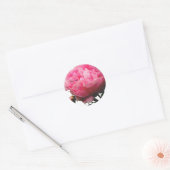 Prachtige roze pioen aangepaste envelop afdichting ronde sticker (Envelop)