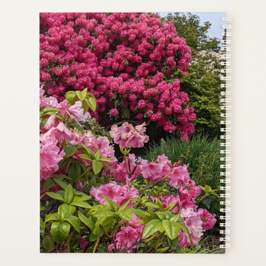 Prachtige roze rododendron blooms Floral Planner (Achterkant)