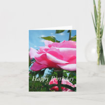 Prachtige roze roos bloem en groene bladeren in bl