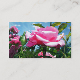 Prachtige roze roos bloemen in blauwe lucht profie visitekaartje
