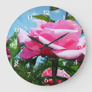 Prachtige roze roos in blauwe lucht. Bloemfotograf Grote Klok