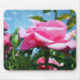 Prachtige roze roos in blauwe lucht. Bloemfotograf Muismat