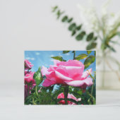 Prachtige roze roos in de blauwe lucht. Florale fo Briefkaart (Staand voorkant)