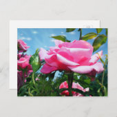 Prachtige roze roos in de blauwe lucht. Florale fo Briefkaart (Voorkant / Achterkant)