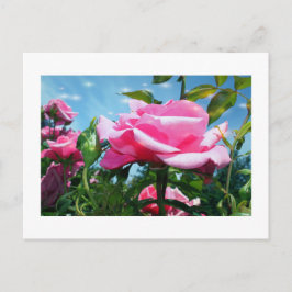 Prachtige roze roos in de blauwe lucht. Florale fo Briefkaart