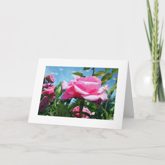 Prachtige roze roos in de blauwe lucht. Florale fo Feestdagen Kaart (Voorkant)