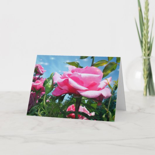 Prachtige roze roos in de blauwe lucht. Florale fo Feestdagen Kaart (Voorkant)