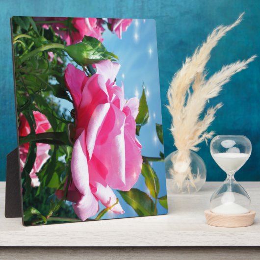 Prachtige roze roos in de blauwe lucht. Florale fo Fotoplaat (Zijkant)