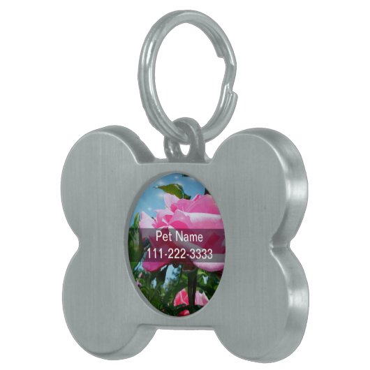 Prachtige roze roos in de blauwe lucht. Florale fo Huisdieren Naamplaatje (Voorkant Rechts)