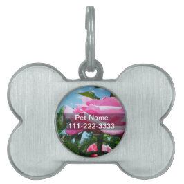 Prachtige roze roos in de blauwe lucht. Florale fo Huisdieren Naamplaatje