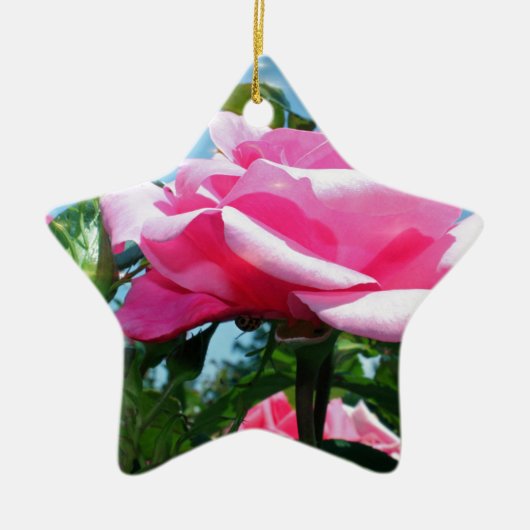 Prachtige roze roos in de blauwe lucht. Florale fo Keramisch Ornament (Voorkant)