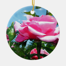 Prachtige roze roos in de blauwe lucht. Florale fo Keramisch Ornament