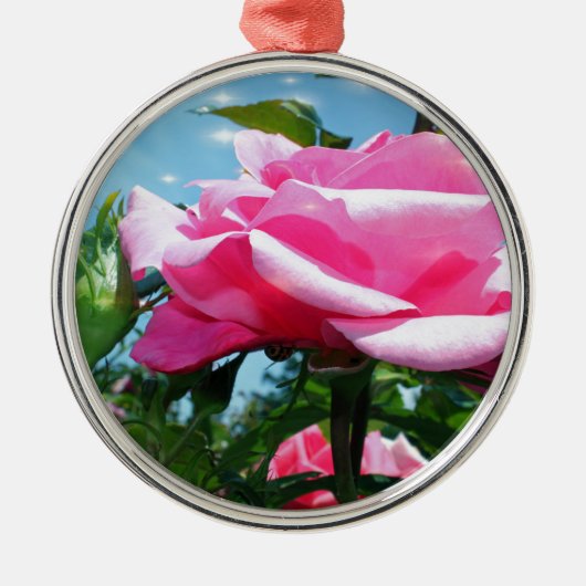 Prachtige roze roos in de blauwe lucht. Florale fo Metalen Ornament (Voorkant)