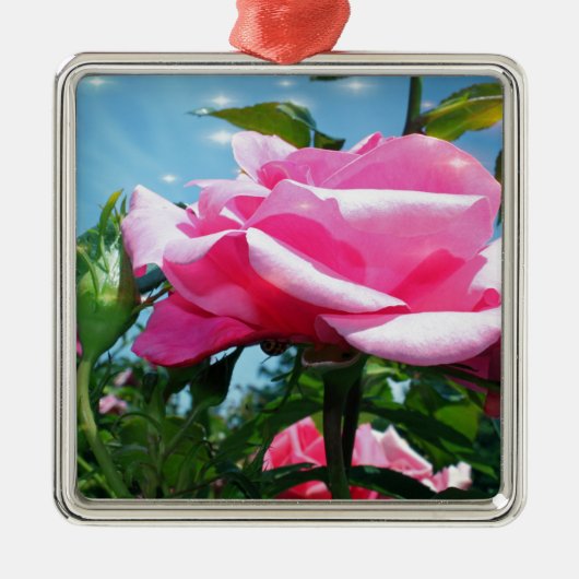 Prachtige roze roos in de blauwe lucht. Florale fo Metalen Ornament (Voorkant)