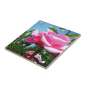 Prachtige roze roos in de blauwe lucht. Florale fo Tegeltje (Zijkant)