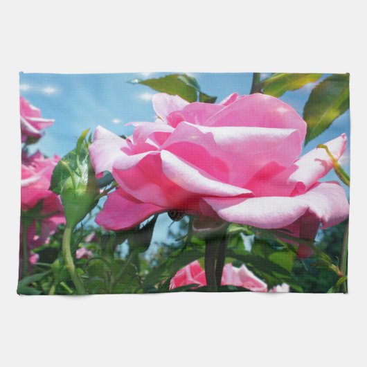 Prachtige roze roos in de blauwe lucht. Florale fo Theedoek (Horizontaal)