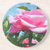 Prachtige roze roos in de blauwe lucht. Florale fo Zandsteen Onderzetter (Voorkant)