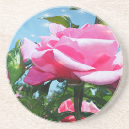 Prachtige roze roos in de blauwe lucht. Florale fo Zandsteen Onderzetter