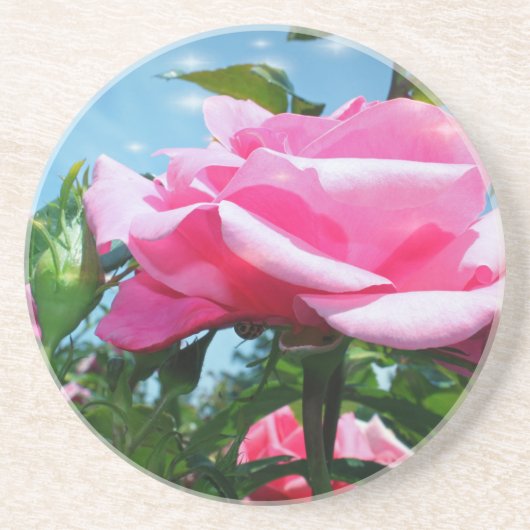 Prachtige roze roos in de blauwe lucht. Florale fo Zandsteen Onderzetter (Voorkant)