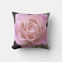 Prachtige Roze Roos