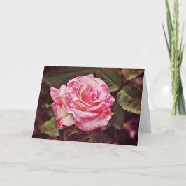 Prachtige roze roze Kaart Psalm 102:26