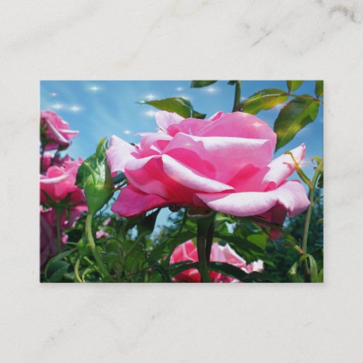 Prachtige roze roze roze bloemen in blauw hemelpro visitekaartje (Voorkant)
