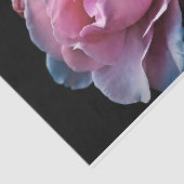 Prachtige roze roze roze op zwart tissuepapier (Detail)