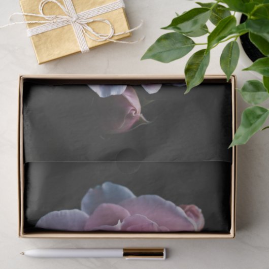 Prachtige roze roze roze op zwart tissuepapier (Geschenk)