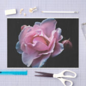 Prachtige roze roze roze op zwart tissuepapier (Craft)