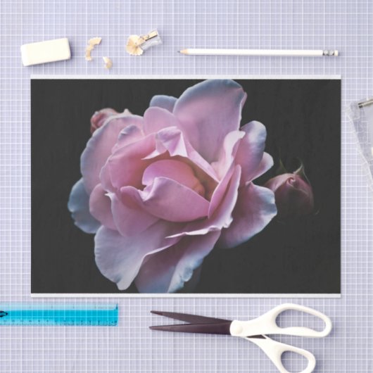 Prachtige roze roze roze op zwart tissuepapier (Craft)