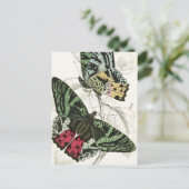 Prachtige  roze roze vlinders briefkaart (Staand voorkant)