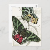 Prachtige  roze roze vlinders briefkaart (Voorkant / Achterkant)