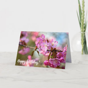 Prachtige roze Sakura-bloemen in de lentegang Kaart