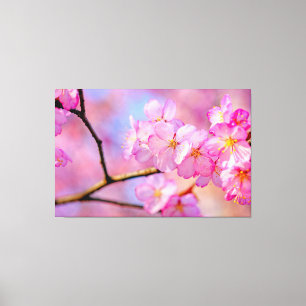 Prachtige roze Sakura-bloemen in Springtime Canvas Afdruk